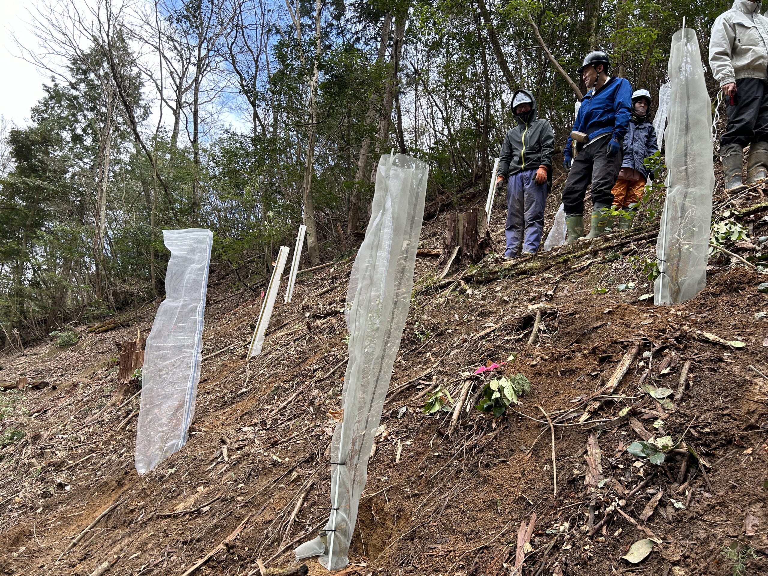 シカネットが張れない急傾斜地での施工